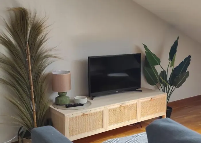 Vut 09-230 En La Catedral, Ubicacion Excepcional Y Con Wifi * Burgo